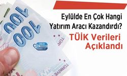 Eylülde En Çok Hangi Yatırım Aracı Kazandırdı? TÜİK Verileri Açıklandı