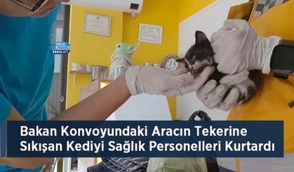 Bakan Konvoyundaki Aracın Tekerine Sıkışan Kediyi Sağlık Personelleri Kurtardı