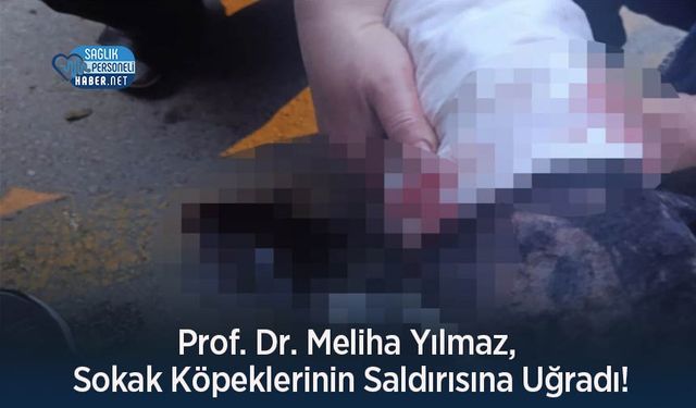 Prof. Dr. Meliha Yılmaz, Sokak Köpeklerinin Saldırısına Uğradı!