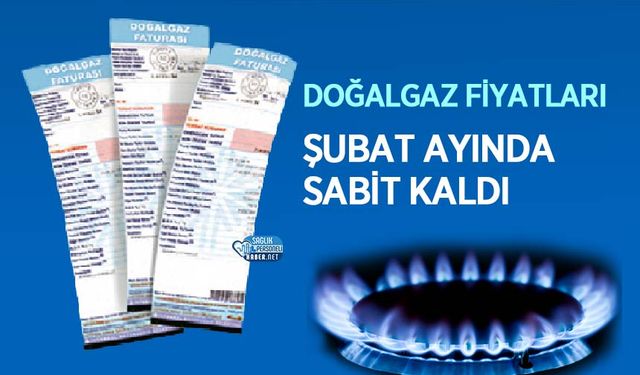 Doğalgaz Fiyatları Şubat Ayında Sabit Kaldı