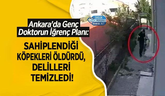 Ankara'da Genç Doktorun İğrenç Planı: Sahiplendiği Köpekleri Öldürdü, Delilleri Temizledi!