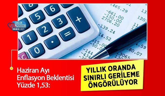Haziran Ayı Enflasyon Beklentisi Yüzde 1,53: Yıllık Oranda Sınırlı Gerileme Öngörülüyor