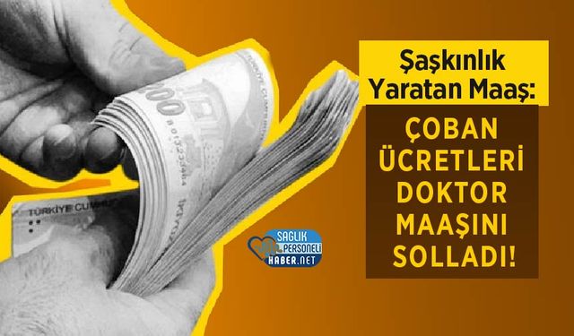 Şaşkınlık Yaratan Maaş: Çoban Ücretleri Doktor Maaşını Solladı!