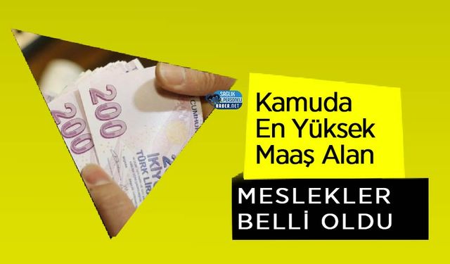 Kamuda En Yüksek Maaş Alan Meslekler Belli Oldu