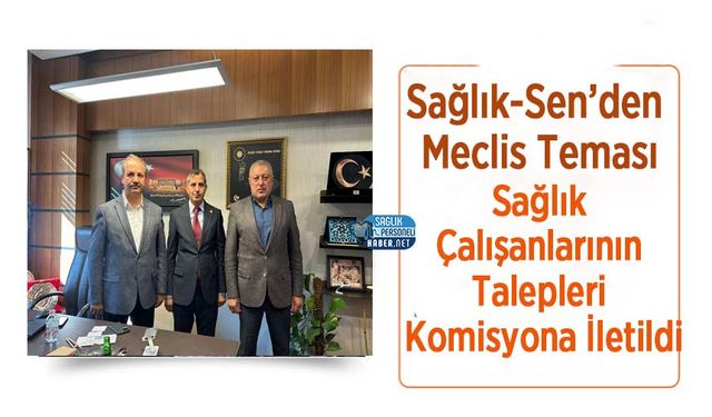 Sağlık-Sen’den Meclis Teması: Sağlık Çalışanlarının Talepleri Komisyona İletildi