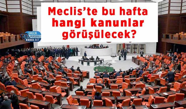 Mecliste Bu Hafta Hangi Konular Görüşülecek?