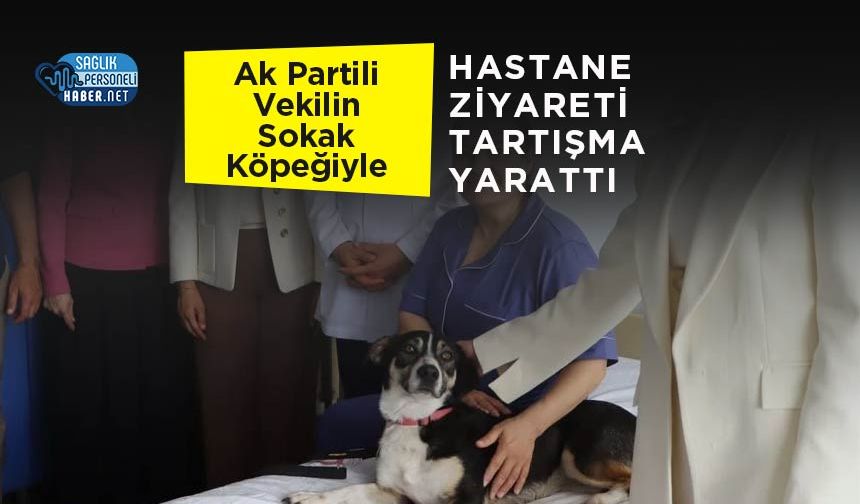 Ak Partili Vekilin Sokak Köpeğiyle Hastane Ziyareti Tartışma Yarattı