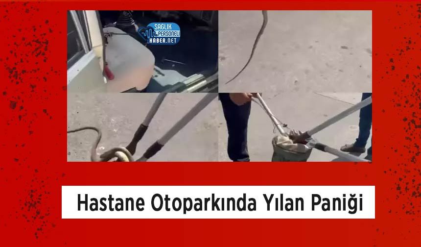 Hastane Otoparkında Yılan Paniği