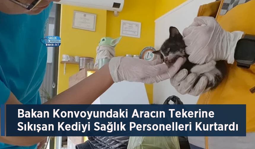 Bakan Konvoyundaki Aracın Tekerine Sıkışan Kediyi Sağlık Personelleri Kurtardı