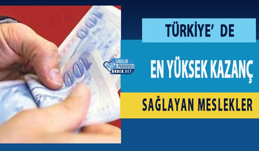 Türkiye’de En Yüksek Kazanç Sağlayan Meslekler
