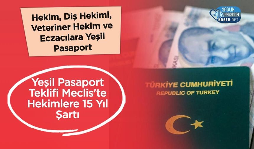 Hekim, Diş Hekimi, Veteriner Hekim ve Eczacılara Yeşil Pasaport Teklifi Meclis'te