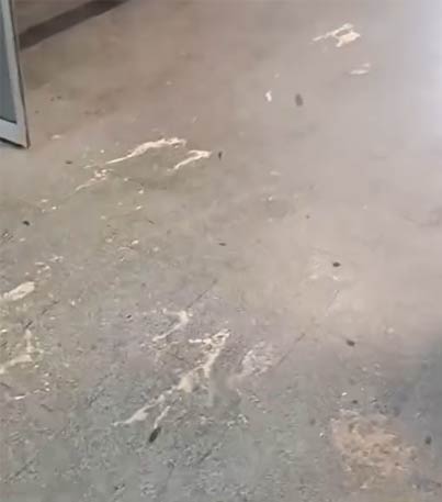 Rtj