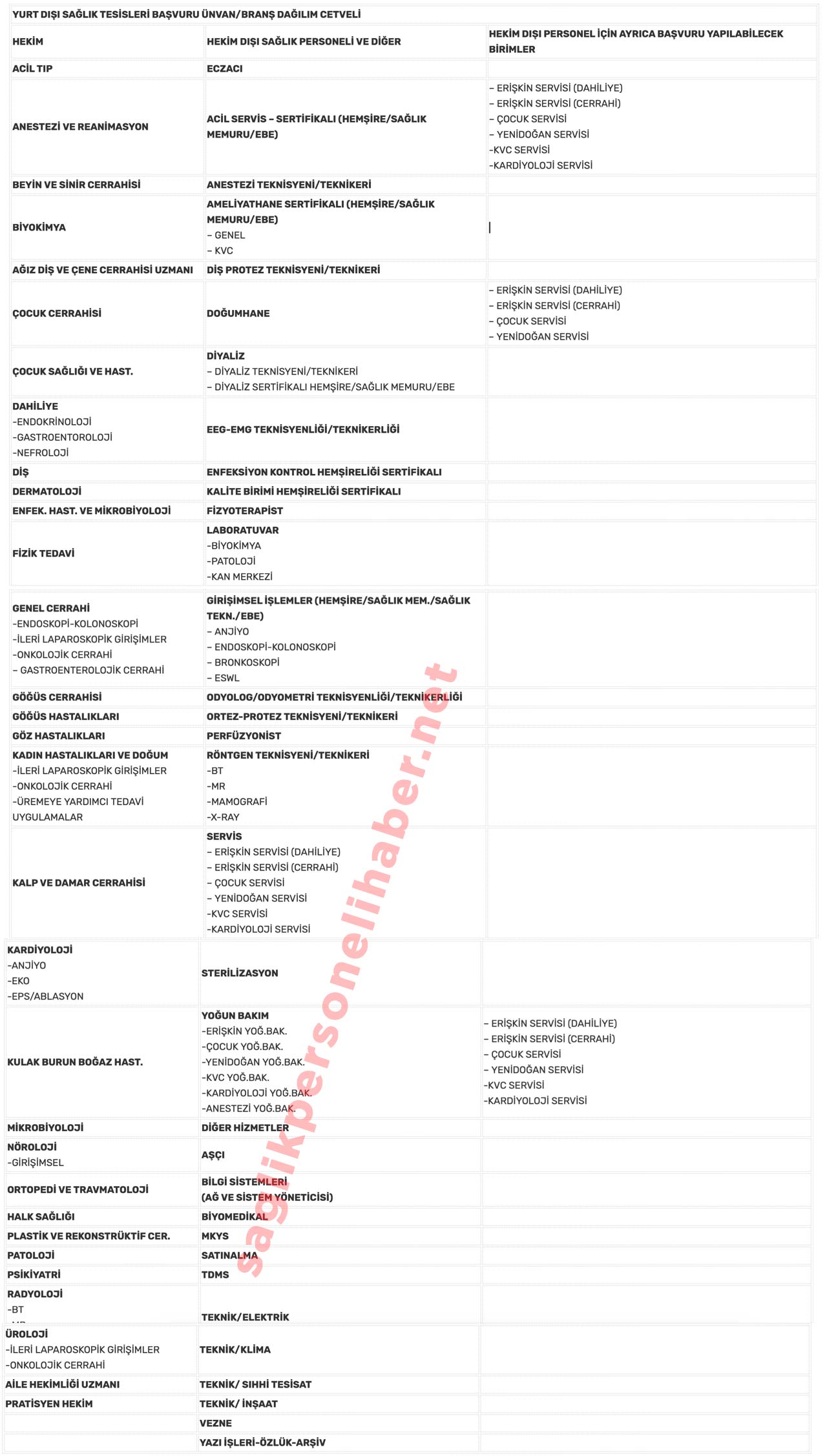 Yurtdisi Gorevlendirme Brans Dagilimi